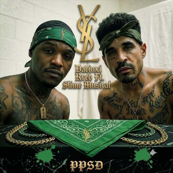 Cover art for Ppsd